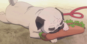 Mopshond GIF. Anime Dieren Kawaii Gifs Mopshond Anine 