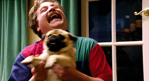 Mopshond GIF. Dieren Gifs Hond Mopshond Weinig Snuiven Ruikend 