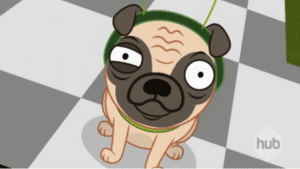 Mopshond GIF. Dieren Gifs Mopshond Trap 