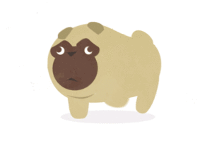 Mopshond GIF. Dieren Gifs Mopshond 