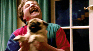 Mopshond GIF. Dieren Gifs Mopshond 