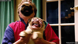 Mopshond GIF. Dieren Gifs Hond Mopshond 