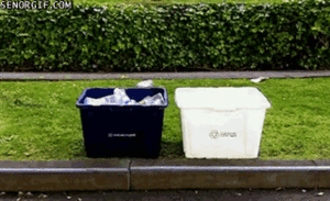 Mopshond GIF. Dieren Gifs Mopshond Likken Snel 