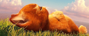 Shrek GIF. Shrek Films en series Gifs Cartoons en comics 