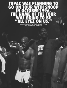 Snoop Dogg GIF. Artiesten Gifs Snoop dogg 
