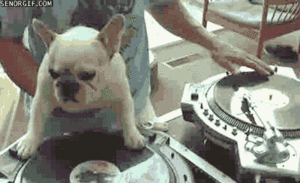Snoop Dogg GIF. Artiesten Gifs Snoop dogg 
