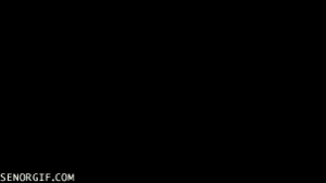 Spiderman GIF. Spiderman Films en series Gifs Reactie Verbazingwekkend 
