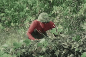 Spiderman GIF. Spiderman Films en series Gifs Kampioenschappen 
