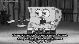 Spongebob GIF. Spongebob Films en series Gifs Seaporn 