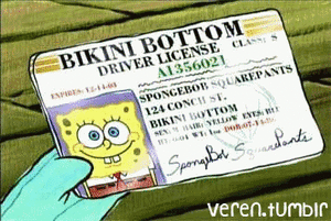 Spongebob GIF. Spongebob Films en series Trui Gifs Gif Nickelodeon Spongebob squarepants Gebreid 