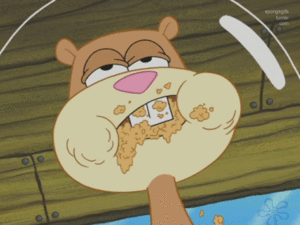 Spongebob GIF. Spongebob Karate Films en series Gifs Spongebob squarepants Zanderig Zandige wangen Karate choppers 