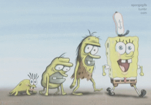 Spongebob GIF. Spongebob Katten Films en series Kat Gifs Zwart en wit Schattige katten Blackcat 