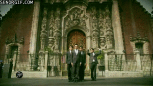 Suits GIF. Films en series Gifs Suits Donna paulsen 