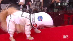 Suits GIF. Films en series Gifs Suits 
