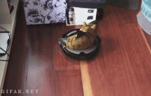 Suits GIF. Films en series Gifs Suits Usa network 