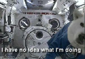 Suits GIF. Films en series Tv Gifs Suits 