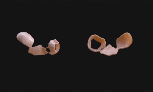 Suits GIF. Films en series Tv Gifs Suits 