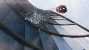 Suits GIF. Films en series Gifs Suits Usa network 