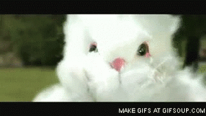 Suits GIF. Films en series Gifs Suits Donna paulsen 
