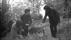 The Beatles GIF. Artiesten The beatles Gifs 