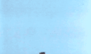The Beatles GIF. Artiesten The beatles Gifs 