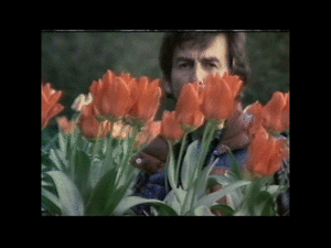 The Beatles GIF. Artiesten The beatles Gifs Helpen 