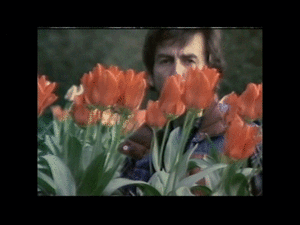 The Beatles GIF. Artiesten The beatles Gifs Helpen 
