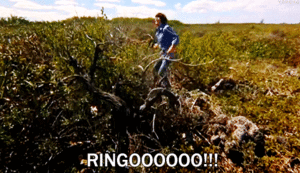 The Beatles GIF. Artiesten The beatles Gifs 
