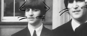 The Beatles GIF. Artiesten The beatles Gifs 