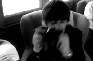 The Beatles GIF. Artiesten The beatles Gifs George harrison 