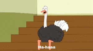 The Beatles GIF. Artiesten Struisvogel The beatles Gifs 