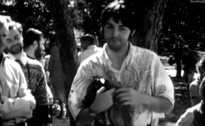 The Beatles GIF. Artiesten The beatles Gifs 