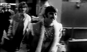 The Beatles GIF. Artiesten Struisvogel The beatles Gifs 