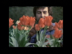 The Beatles GIF. Artiesten The beatles Gifs Helpen 