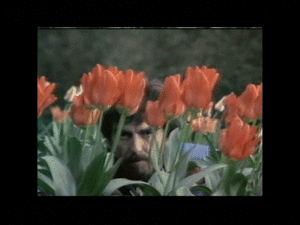 The Beatles GIF. Artiesten The beatles Gifs Helpen 