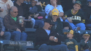 Tijger GIF. Dieren Tijger Gifs 