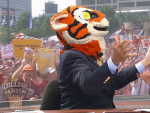 Tijger GIF. Dieren Tijger Gifs Poot Welp Kauwen 