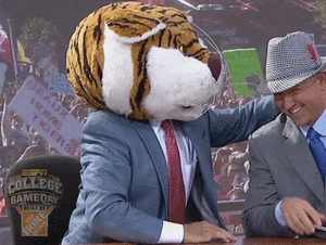 Tijger GIF. Dieren Tijger Gifs 