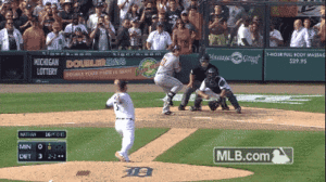 Tijger GIF. Dieren Schattig Tijger Gifs Welp Vlijen 