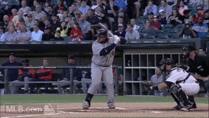 Tijger GIF. Dieren Tijger Gifs 