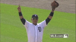 Tijger GIF. Dieren Bang Film Tijger Gifs Geschokt Lopend 
