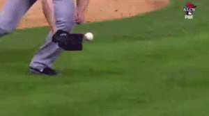 Tijger GIF. Dieren Tijger Gifs Oog 