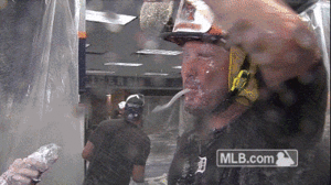 Tijger GIF. Dieren Tijger Gifs 