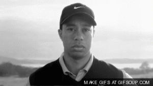 Tijger GIF. Dieren Tijger Gifs 