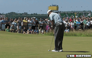 Tijger GIF. Dieren Tijgers Tijger Gifs 