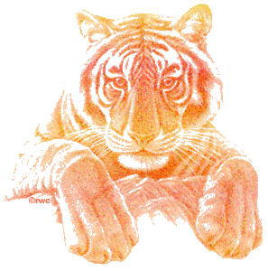 Tijger GIF. Dieren Bang Film Tijger Boot Gifs Oceaan Grommen 