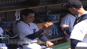 Tijger GIF. Dieren Tijger Gifs 