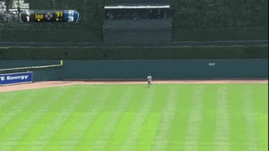 Tijger GIF. Dieren Grappig Wild Tijger Gifs Glimlach Glimlachen 