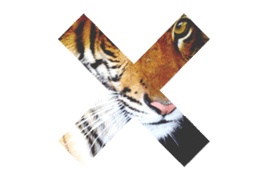 Tijger GIF. Dieren Kunst Tijger Driehoek Gifs 