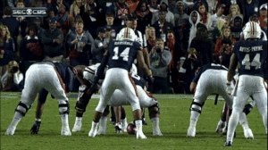 Tijger GIF. Dieren Tijger Gifs Doen 
